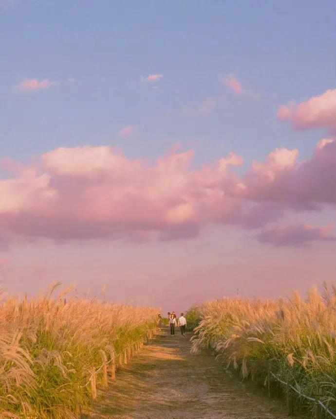 如何寻找项目去搞钱,赚钱的十个项目