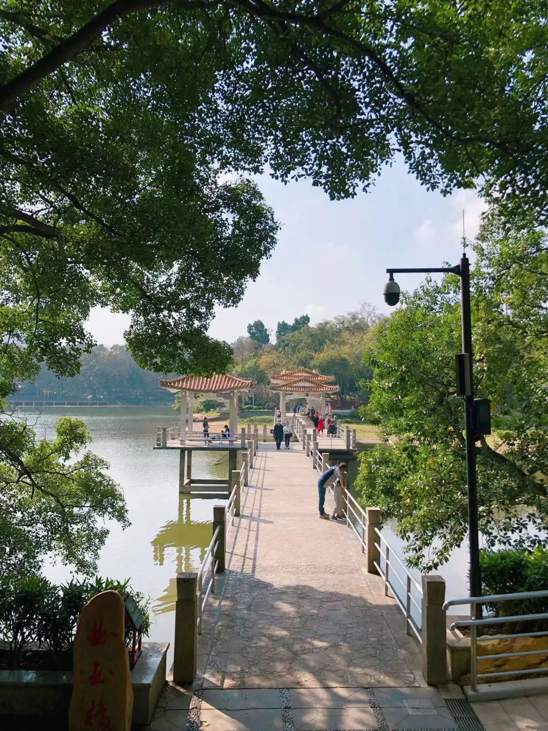 广州云栈道徒步路线,云中漫步广州