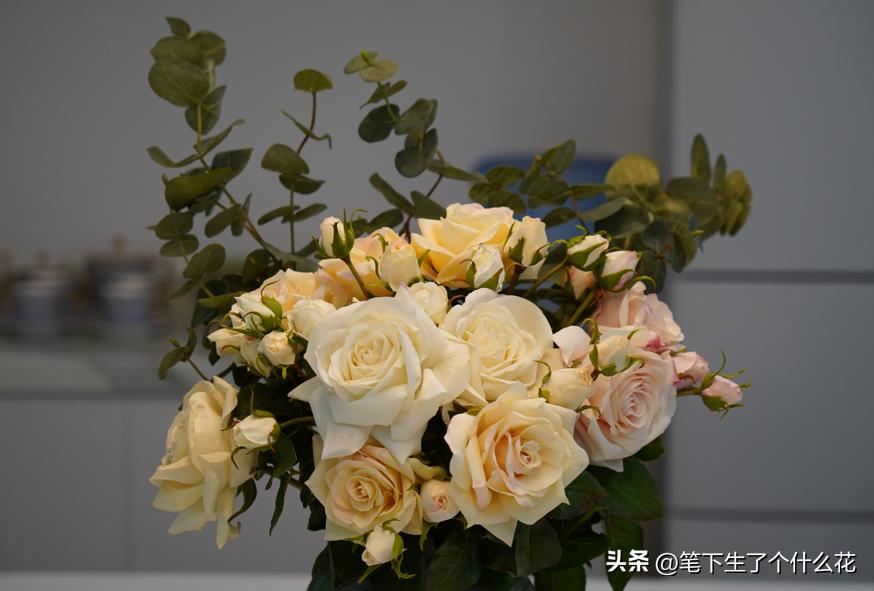 想让孩子有幸福童年，还能真正优秀？父母必学的“四要、四不要”