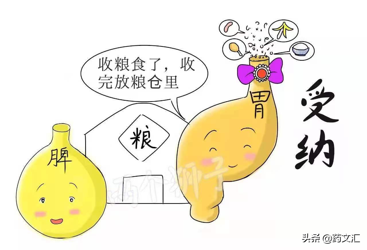 脾虚湿盛大便溏软吃什么中药,脾虚湿盛的药方