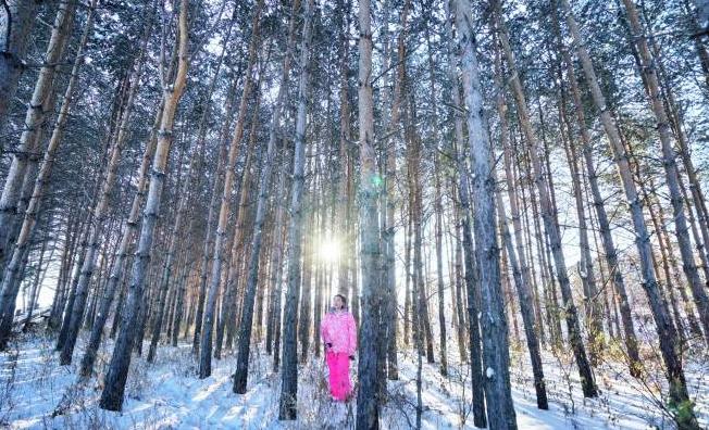 原创冬季漠河旅游，4天时间，怎么安排行程？包车，自由行攻略