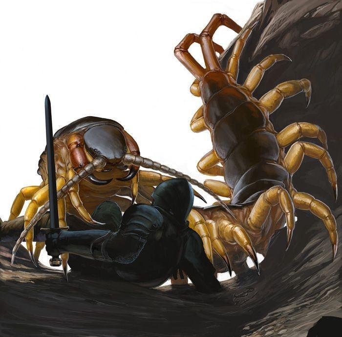 海关截获世界最毒蜈蚣,最毒蜈蚣放大1000倍