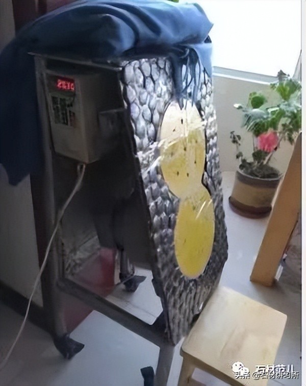 天然能量石的功效,能量磁石的功效与作用