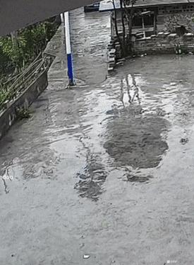 精选搞笑图片与搞笑段子绝对爆笑,谁才是真正的高手搞笑图片