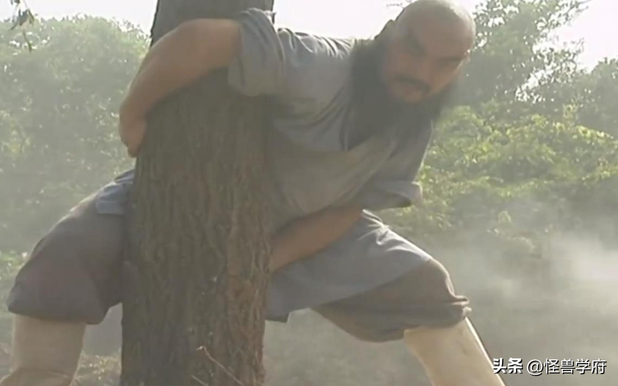 输血管跟电线杆都还能忍，但那个玩手机的，真拿观众当傻子不成？