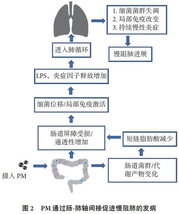 周敏教授：慢阻肺病、支扩及慢阻肺支扩重叠综合征气道微生物研究