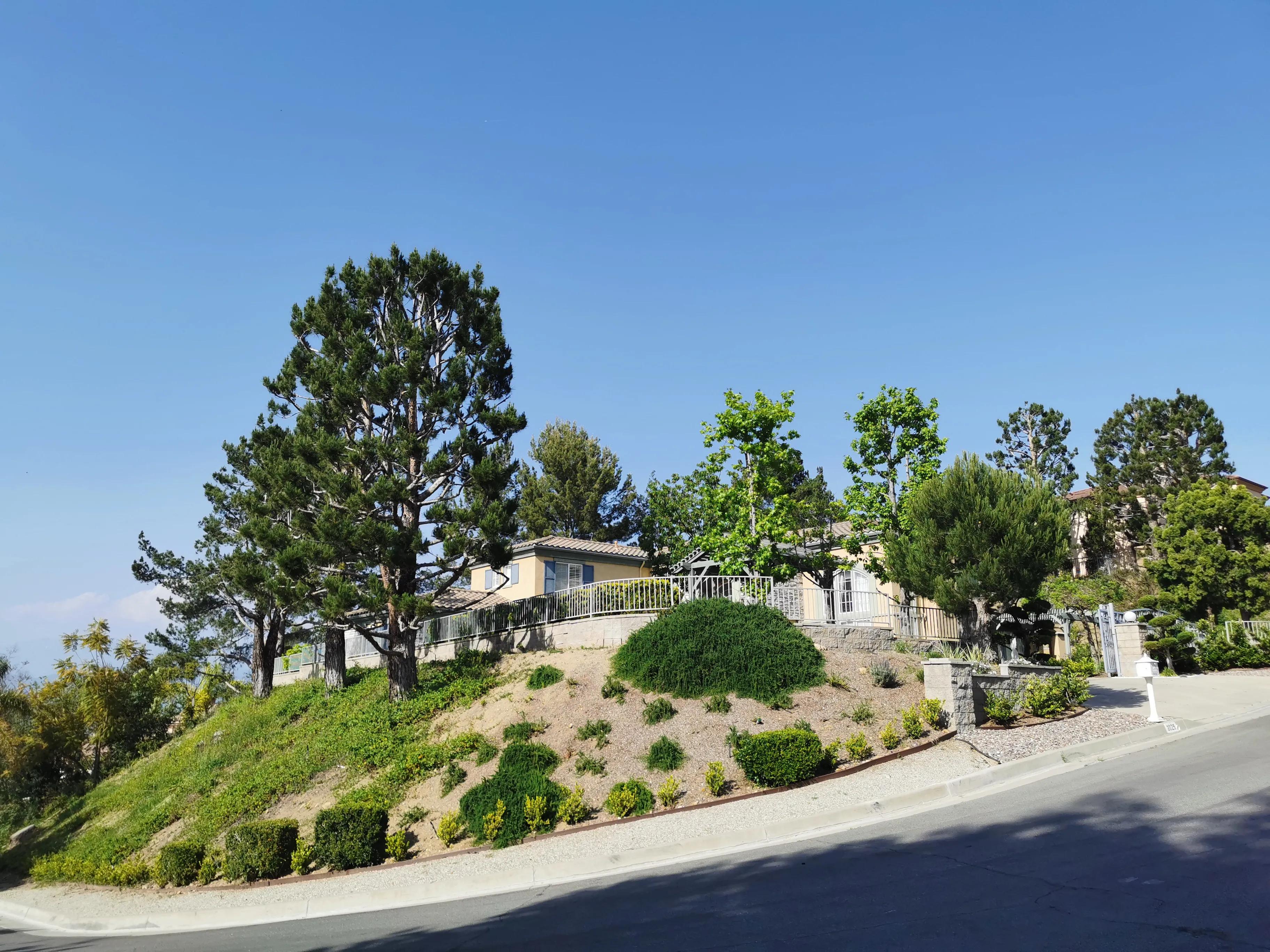 张齐英杂文：我给洛杉矶无家可归者捐衣物