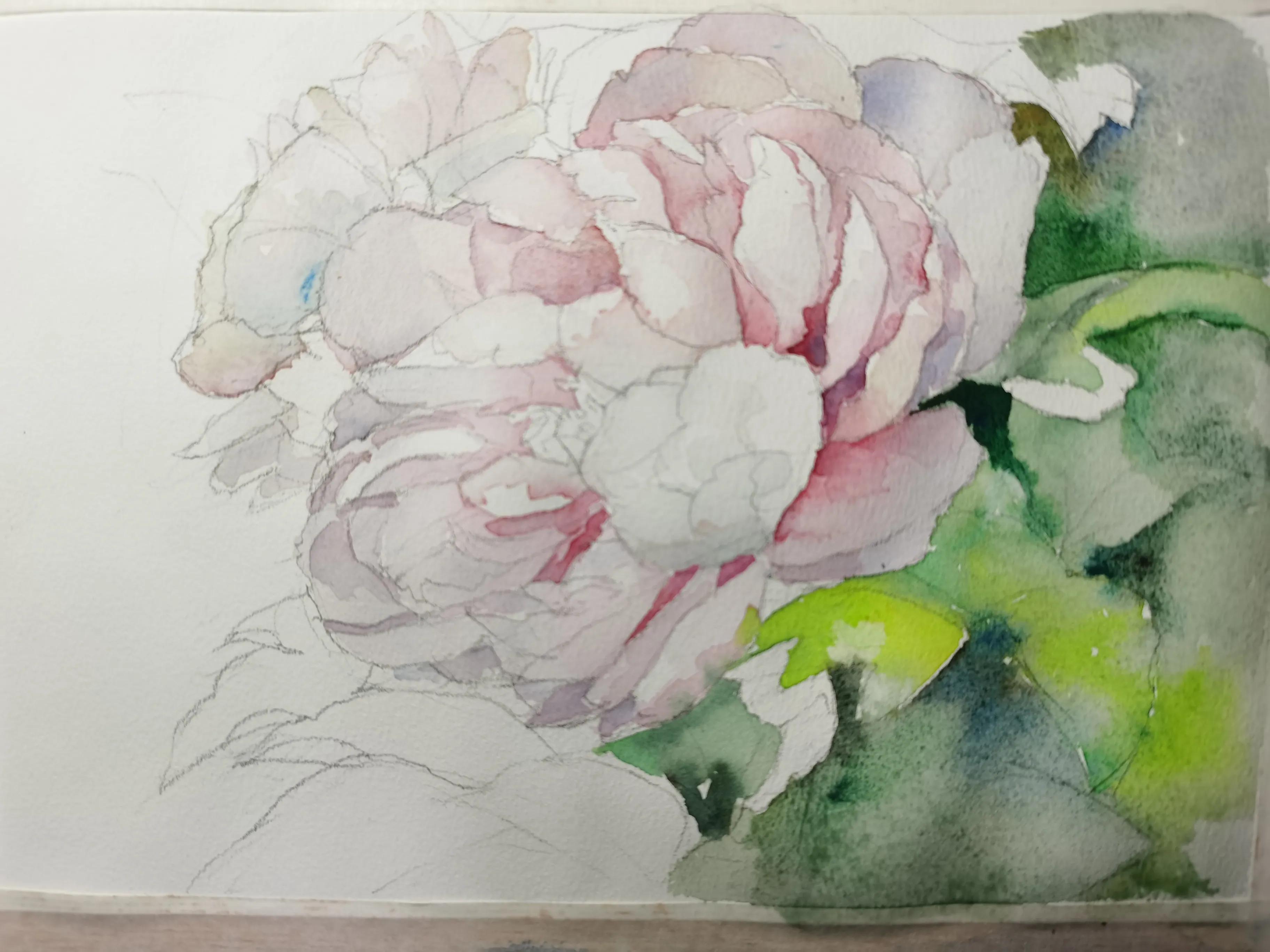 画怎样准确造型,画侧面的两种方法