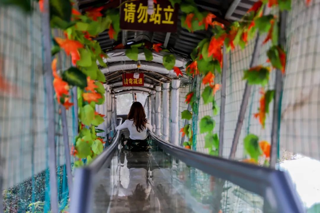 观音山二日游最佳攻略,暑期必打卡景点推荐