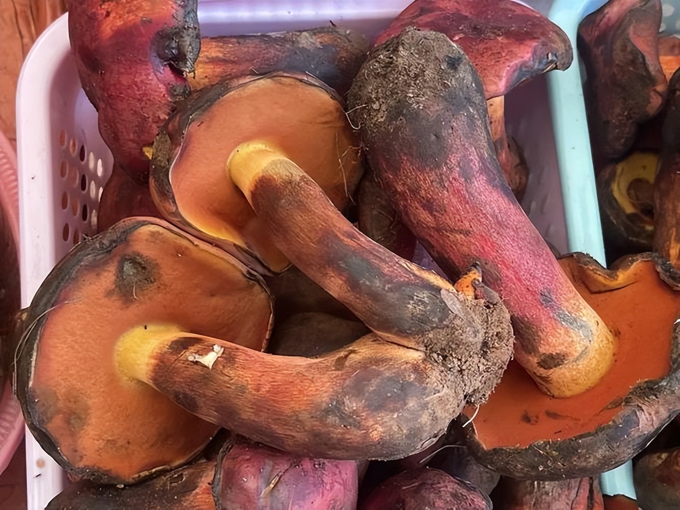 被暴雨泡过的酒能喝吗,暴雨洪灾过后这三件事一定要做好