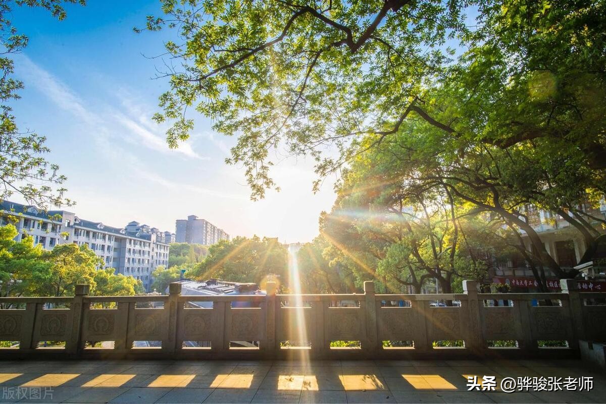 中南大学中山大学,中山大学中南大学哪个厉害