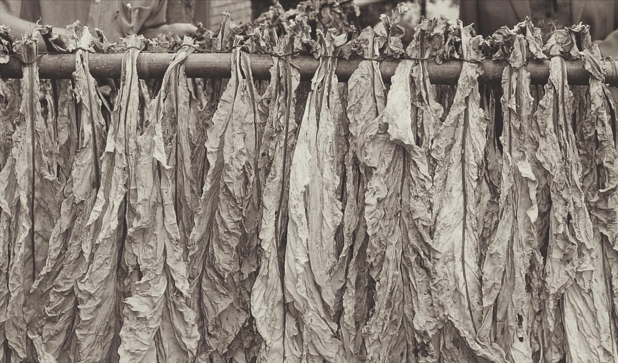 新四军飞马牌烟,新四军生产的飞马牌香烟