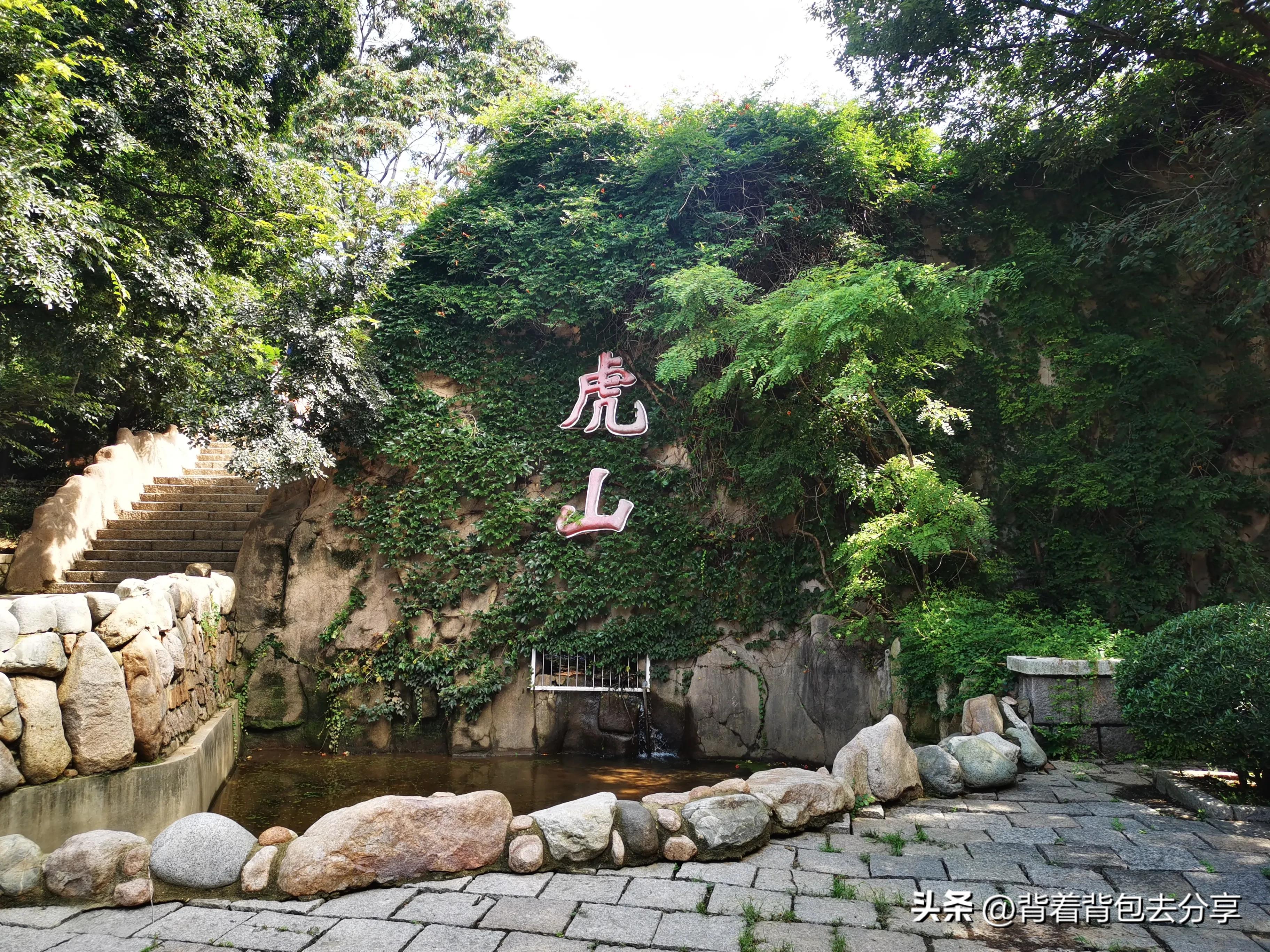 青岛大熊猫动物园8.5元门票预约,青岛动物园8.5元门票预约有熊猫吗