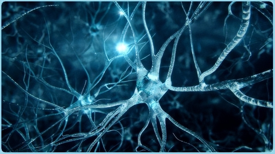 神经网络图像识别,深度神经网络图像识别技术