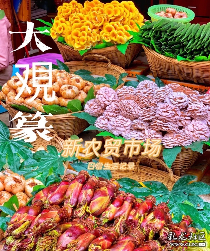 云南旅行攻略昆明,云南旅游全攻略昆明篇