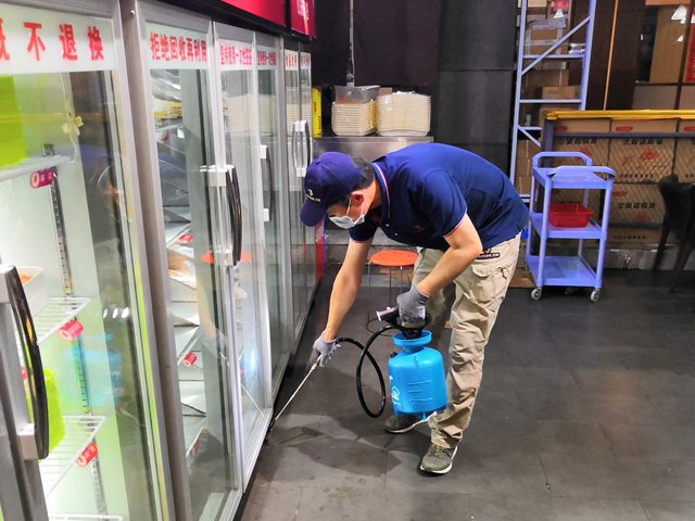 蟑螂消灭神器,如何灭蟑螂大概费用