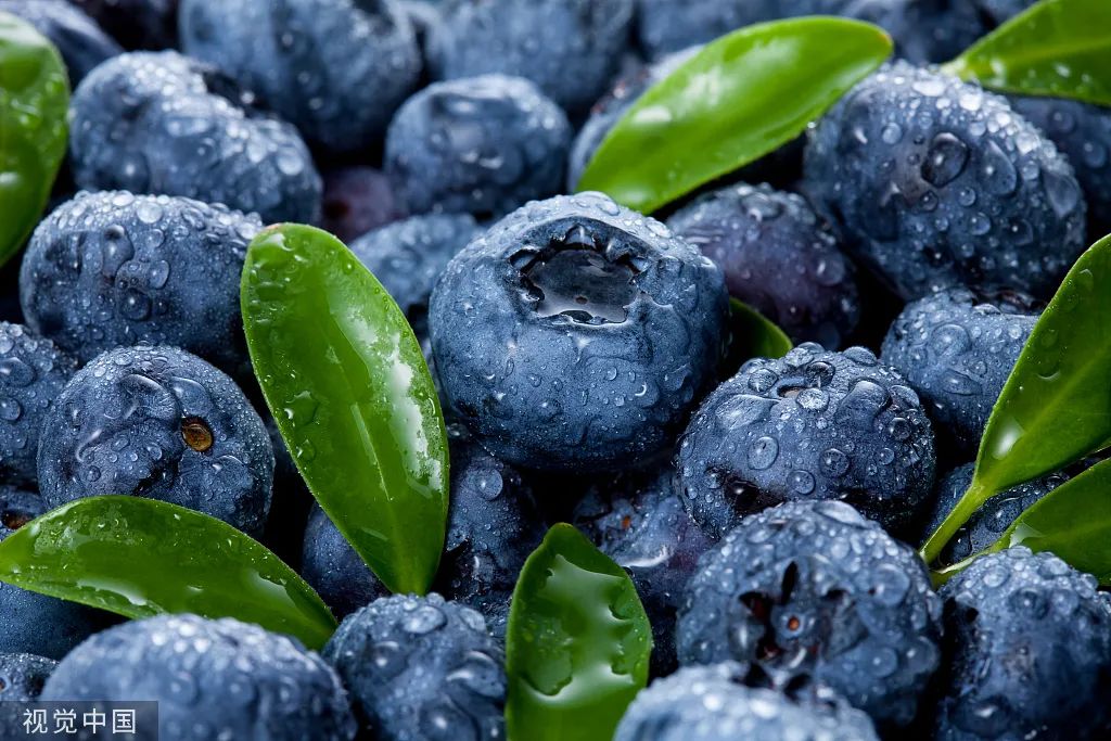 每天吃一盒蓝莓会发生什么,缓解视力吃蓝莓叶黄素有效果吗