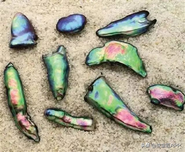 烧烤鲍鱼成品,鲍鱼里面也有珍珠