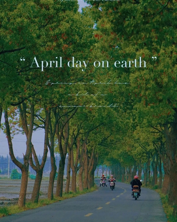 民办非企业单位如何注册公司,民办非企业单位在哪里申请