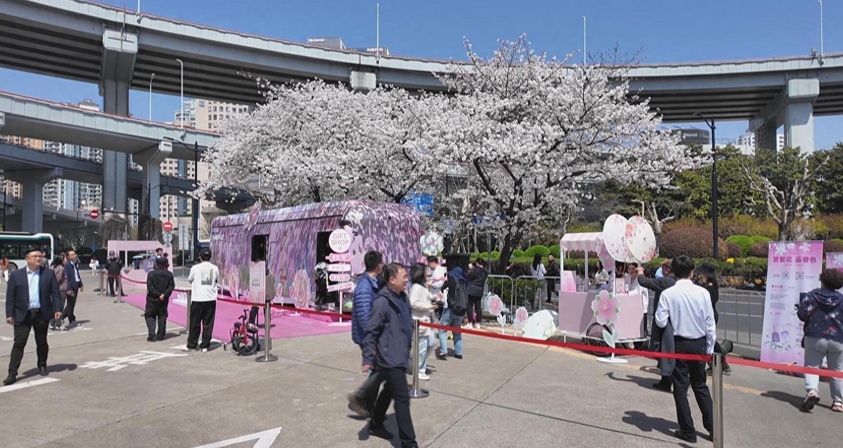 鏄ュぉ閲屼綋寮卞鐥呯殑浜轰笉鑳藉悆鍙戠墿,鏄ュ涓轰粈涔堜笉鑳藉悆鍙戠墿