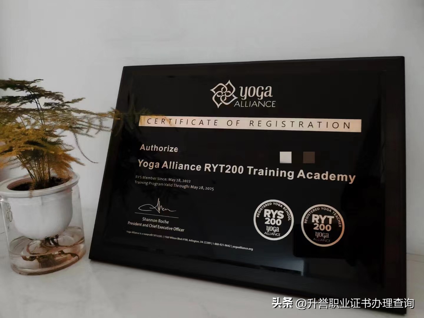 考一个瑜伽教练证需要多少钱,学两年瑜伽想做教练