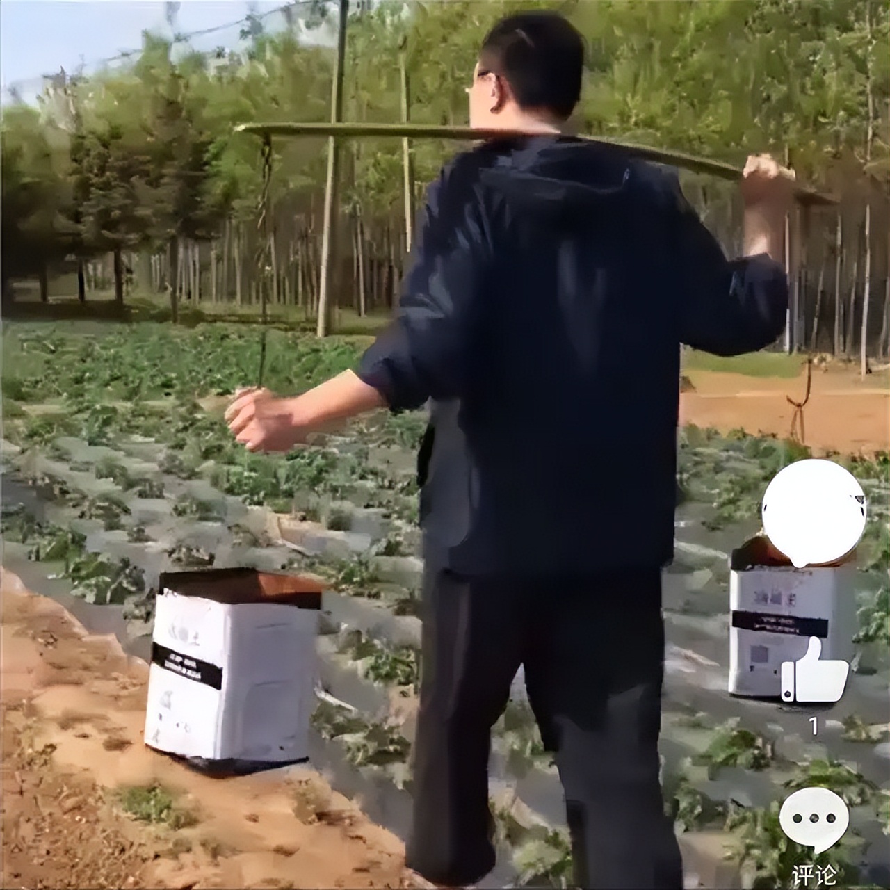 cuba中锋vs韩德君,辽宁队韩德君cuba