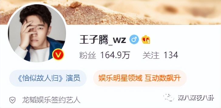 王子腾人物评价,王子腾是男的还是女的