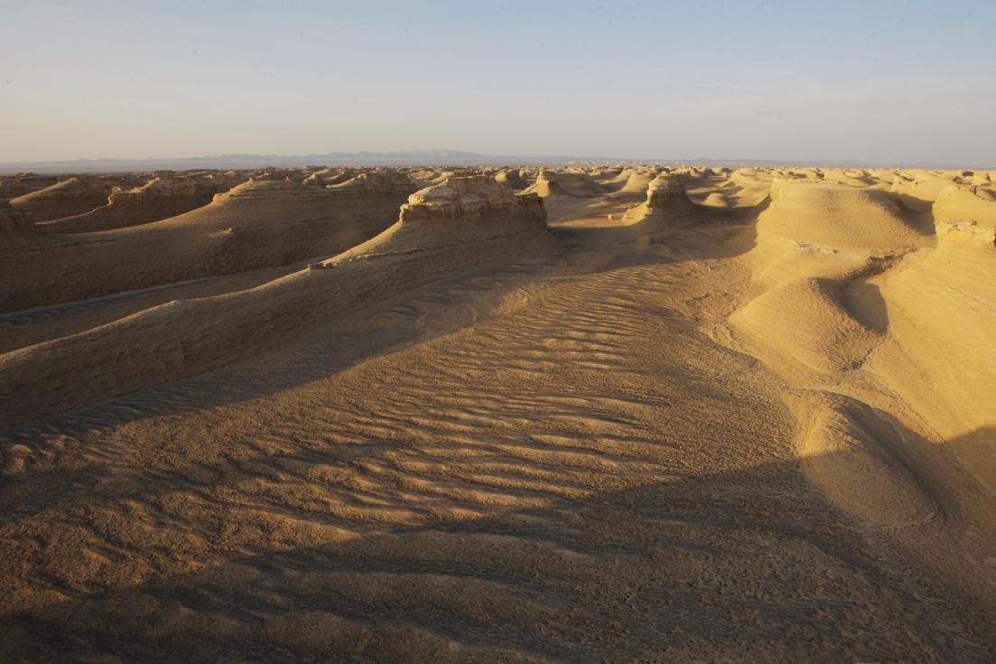 罗布泊流浪猫是怎样活下来的,罗布泊深处发现流浪猫