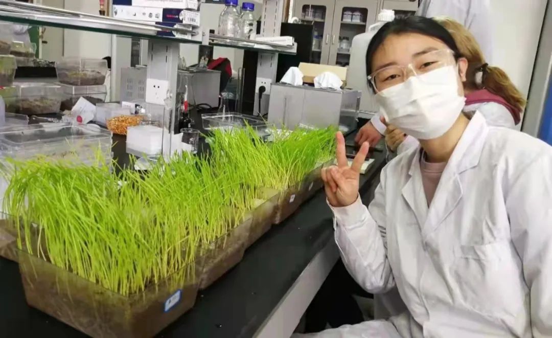 鑰冪爺褰曞彇鐜囨渶楂樼殑211澶у,鑰冪爺鐜嬬墝闄㈡牎鎺ㄨ崘