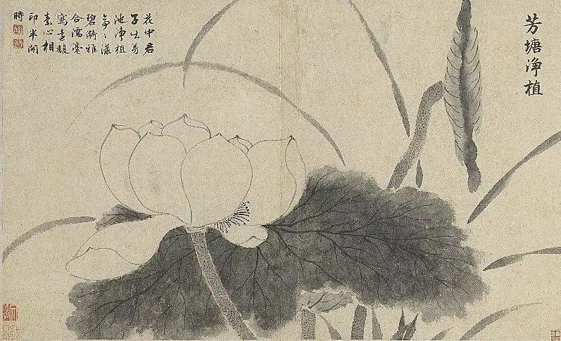 古人笔下的荷花湖畔,古代荷花100幅欣赏