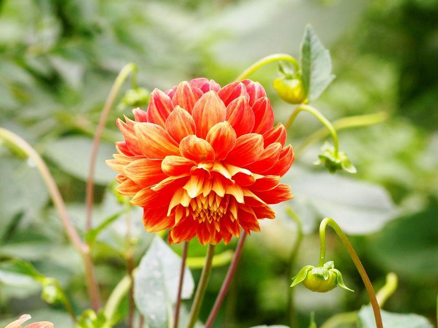 和朋友闹矛盾怎么和好,给朋友闹矛盾了怎么和好