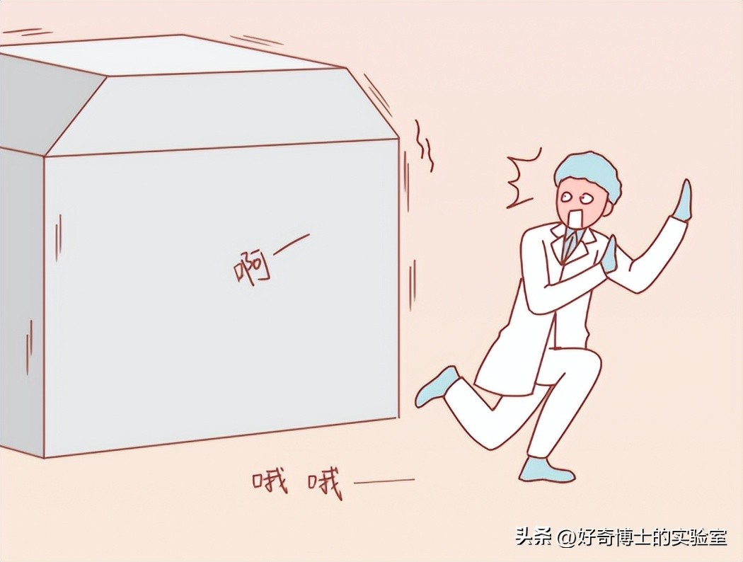 沉浸式体验死囚的最后24小时,尸体火化的真实故事