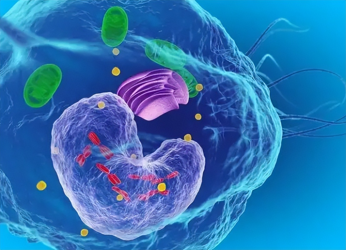 全身炎症反应会导致多器官功能障碍综合征，中西医如何治疗？