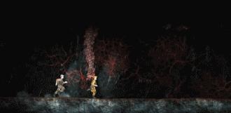 宝可梦彩虹六号手机版,宝可梦第六世代晴天队