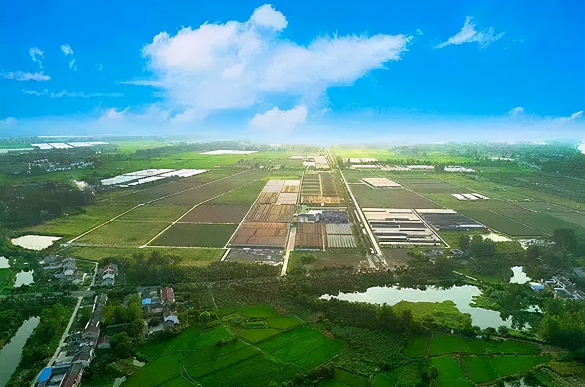 200亩农场如何快速赚钱,200亩农场的盈利模式