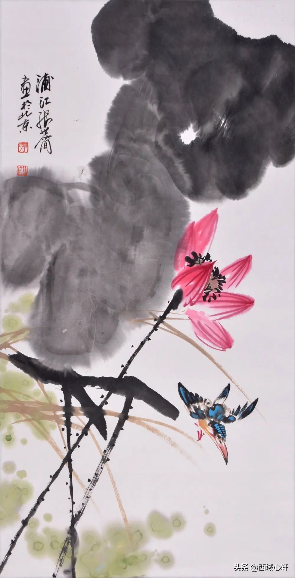 接天莲叶无穷碧映日荷花图片大全,莲叶无穷碧映日荷花别样红三幅图