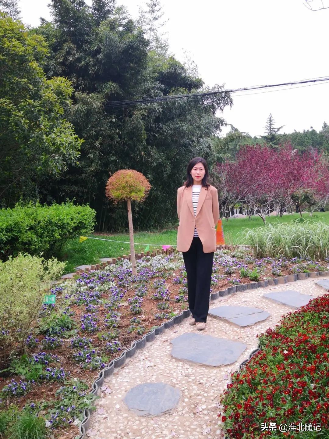 淮北市一中优质课,淮北2021高中优质课大赛获奖名单