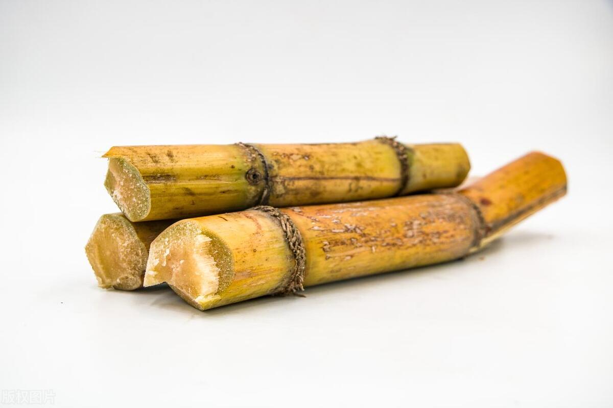 广西贵港市木格镇白玉蔗上市了吗,贵港市木格镇白玉蔗批发价