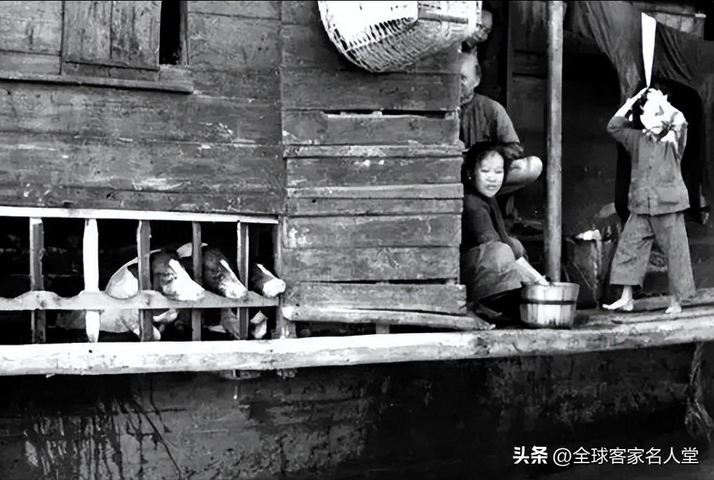 赌王何鸿燊和李小龙的关系,何鸿燊曾祖母