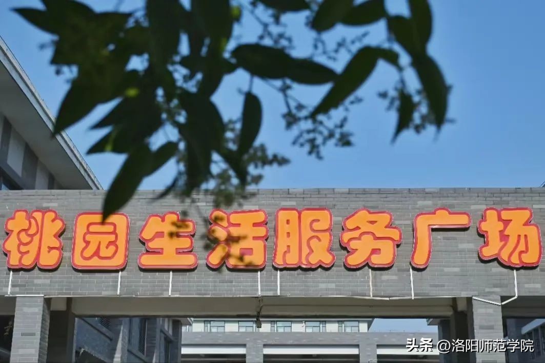 洛师防骗宝典，助你擦亮双眼