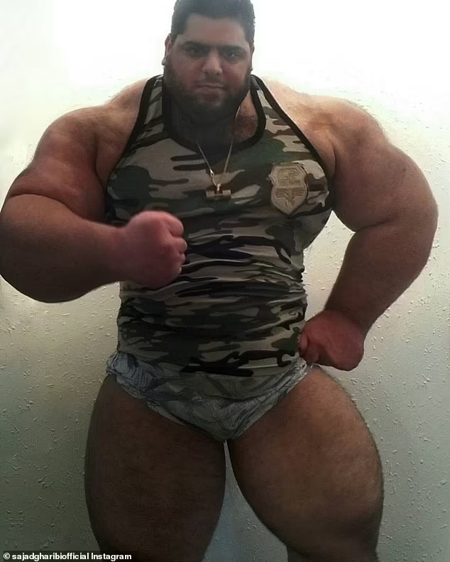 伊朗绿巨人mma视频,伊朗绿巨人真实身材