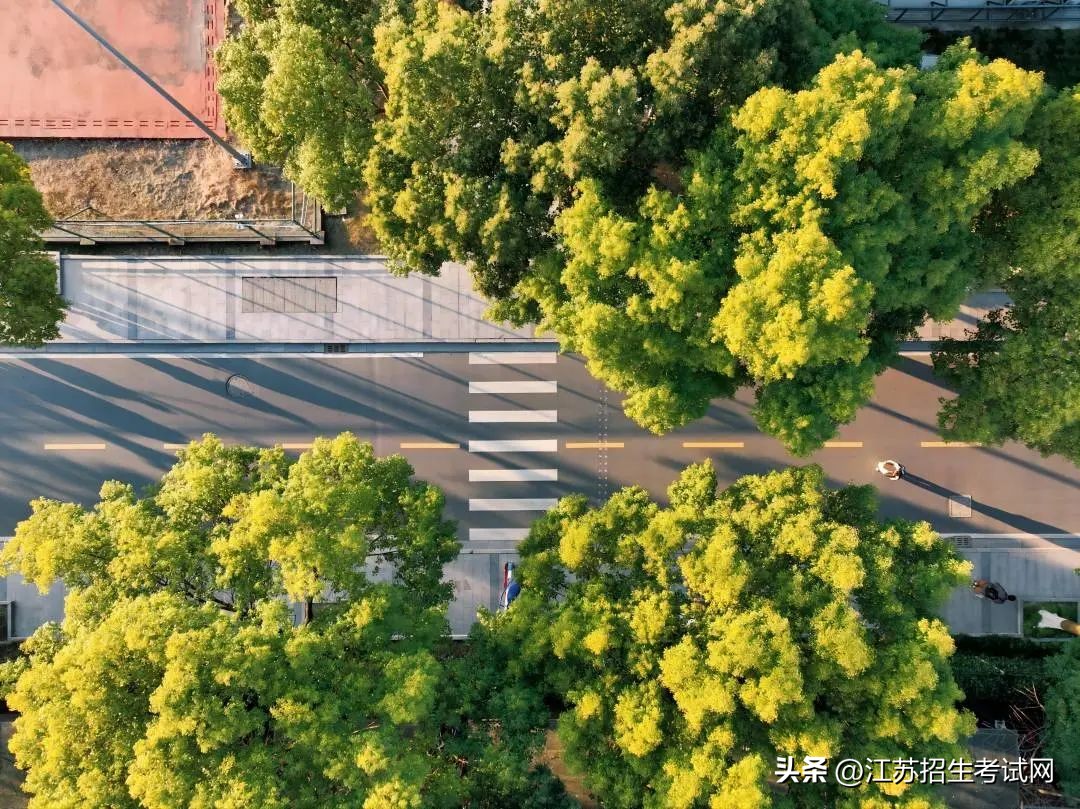 苏州市职业大学单招简章,江苏苏州市职业大学招生简章