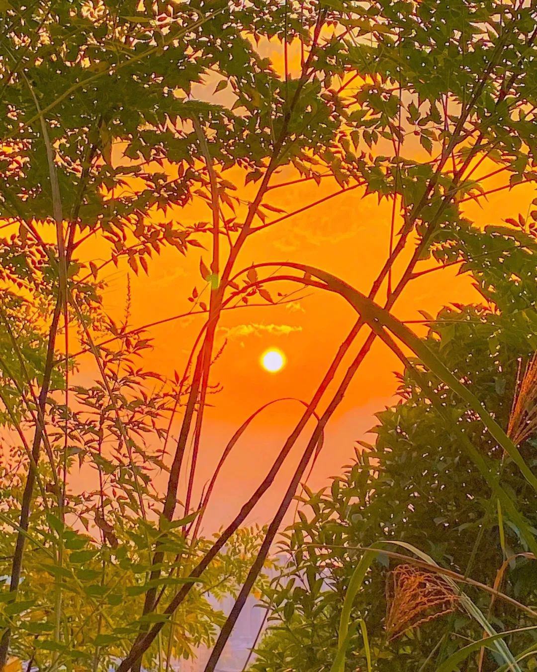 朋友圈背景图片文字,朋友圈背景图女生