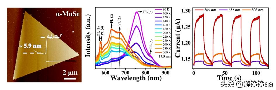 怎样辨别细菌肠胃炎,拉曼光谱法在药品检测中的应用