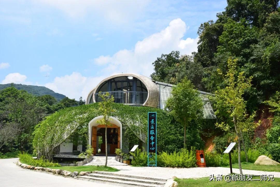 广州花都梯田油菜花,广州徒步赏油菜花路线