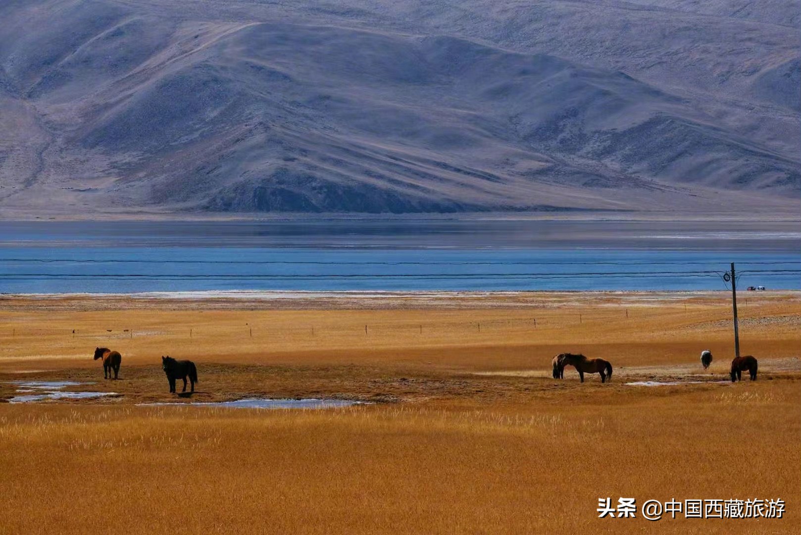 藏西秘境在阿里,阿里地区藏西秘境在哪里