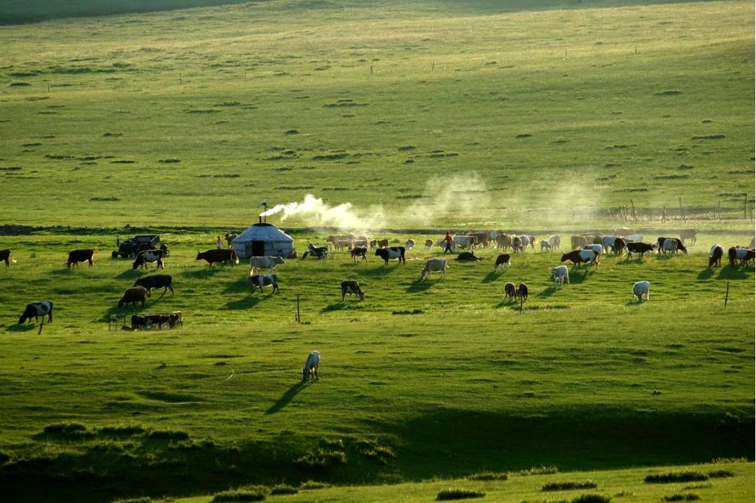 来打卡！锡林郭勒十大网红打卡地