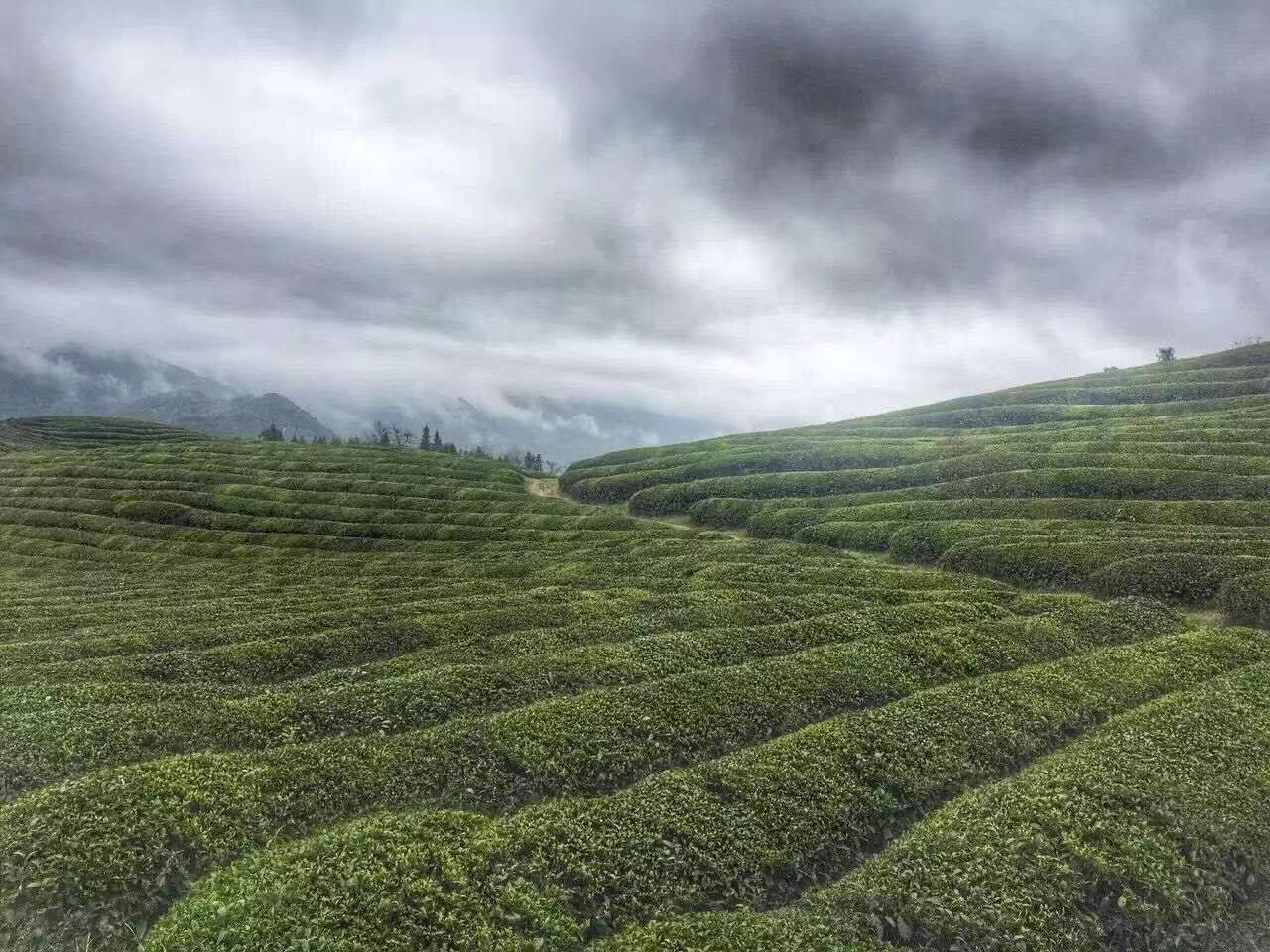 男子辞掉高管职位，携妻子在南京租了个院子：有能力赚钱更要幸福