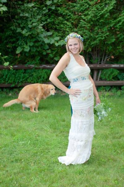 世界上最壮的牛照片,世界最壮的牛图片