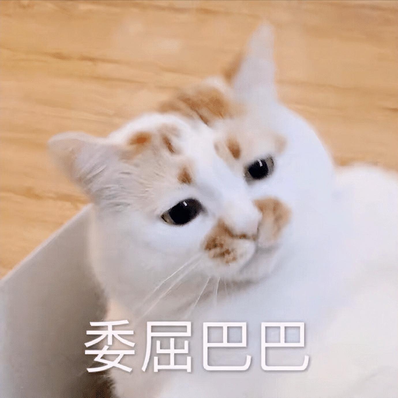 红富士苹果出口哪些国家,南非出产红富士苹果